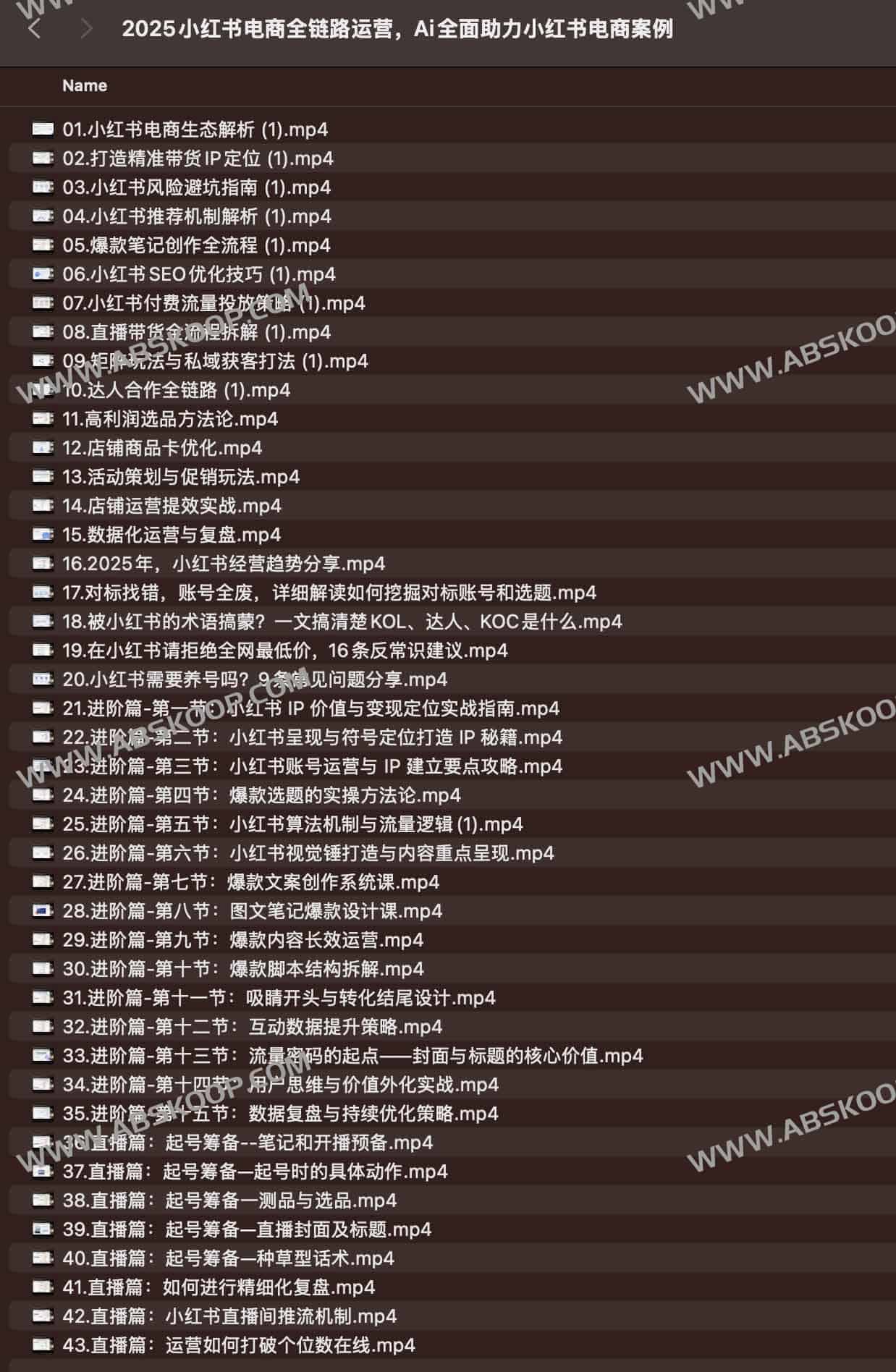 2025小红书电商全链路运营，Ai全面助力小红书电商案例