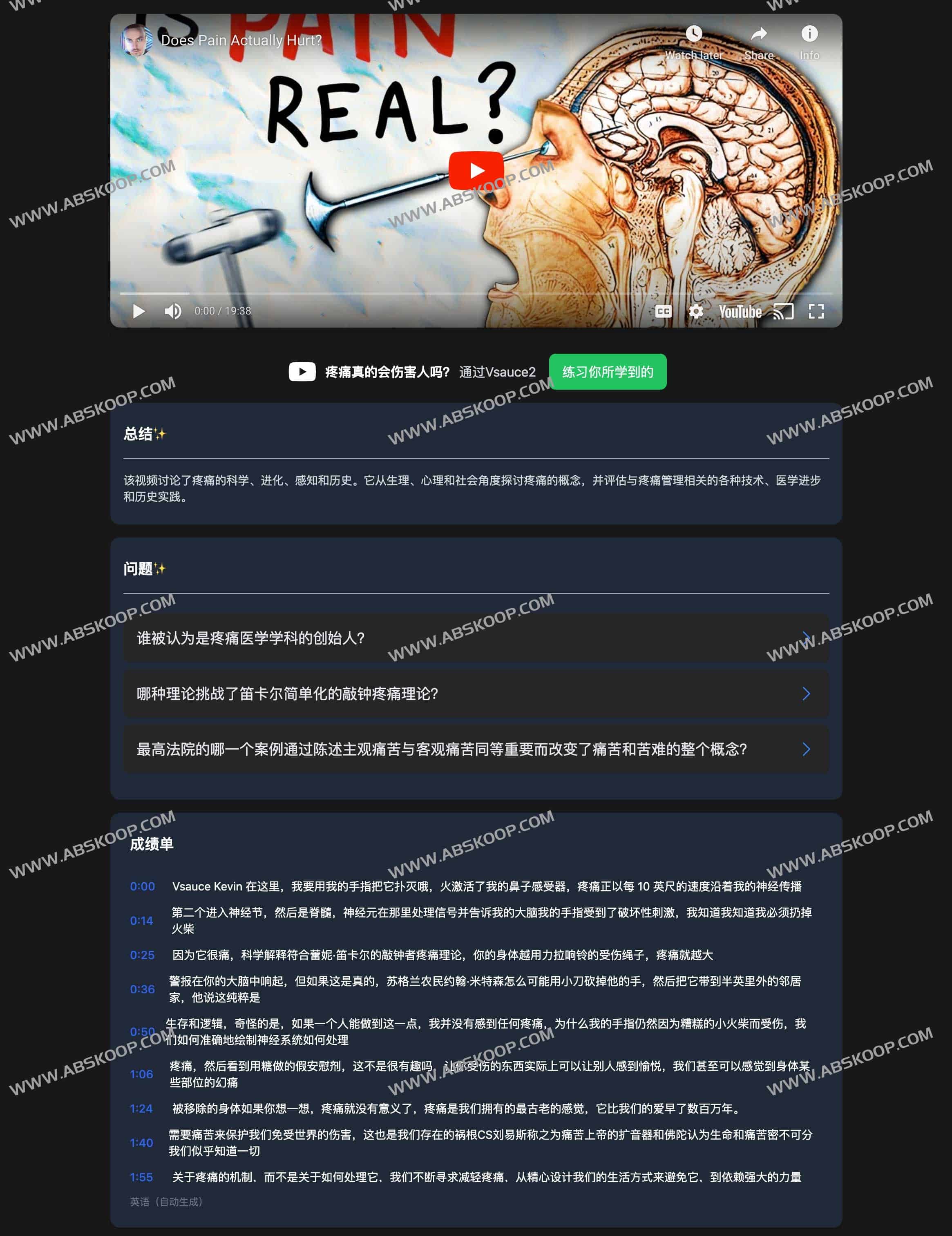 Plato--YouTube视频学习总结AI工具