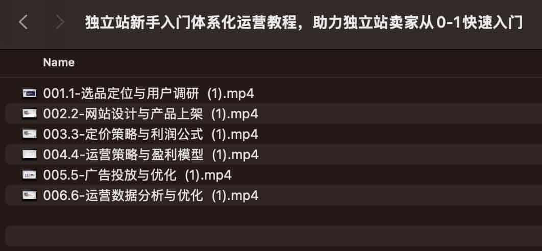 独立站新手入门体系化运营教程，助力独立站卖家从0-1快速入门