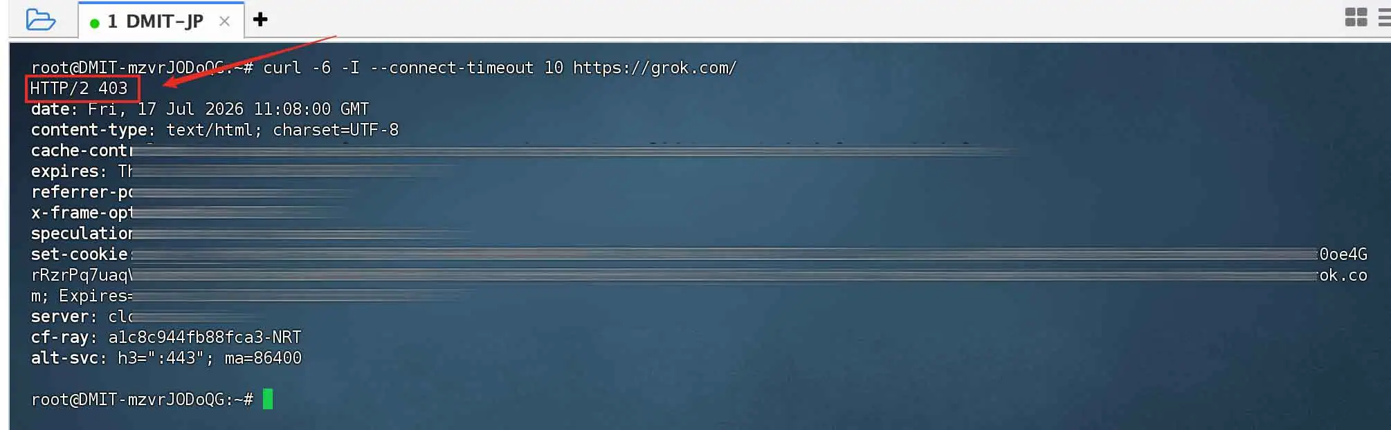 对比目标服务的 IPv4 与 IPv6 连接结果