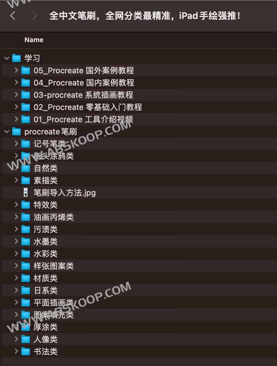  全中文笔刷 iPad手绘 Procreate 课程
