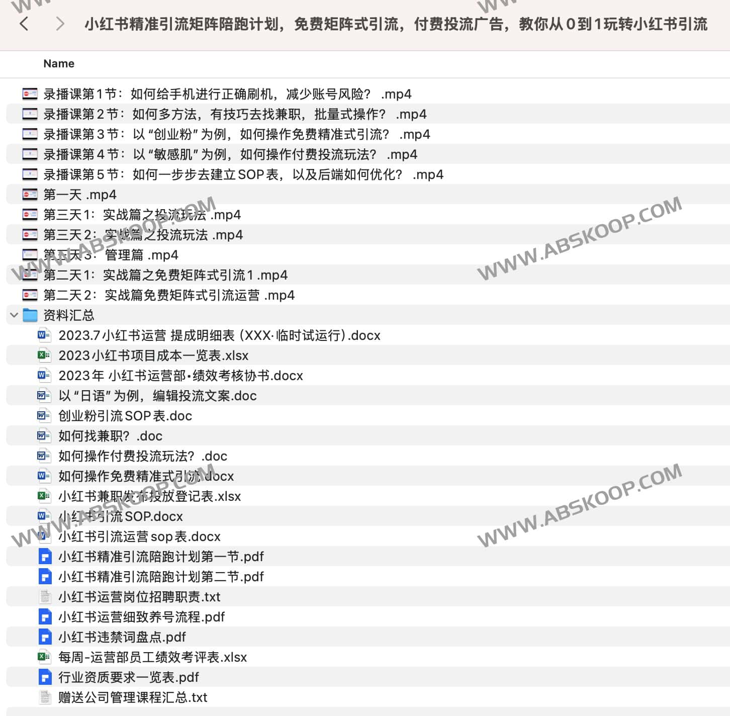小红书精准引流矩阵陪跑计划，免费矩阵式引流，付费投流广告，教你从0到1玩转小红书引流