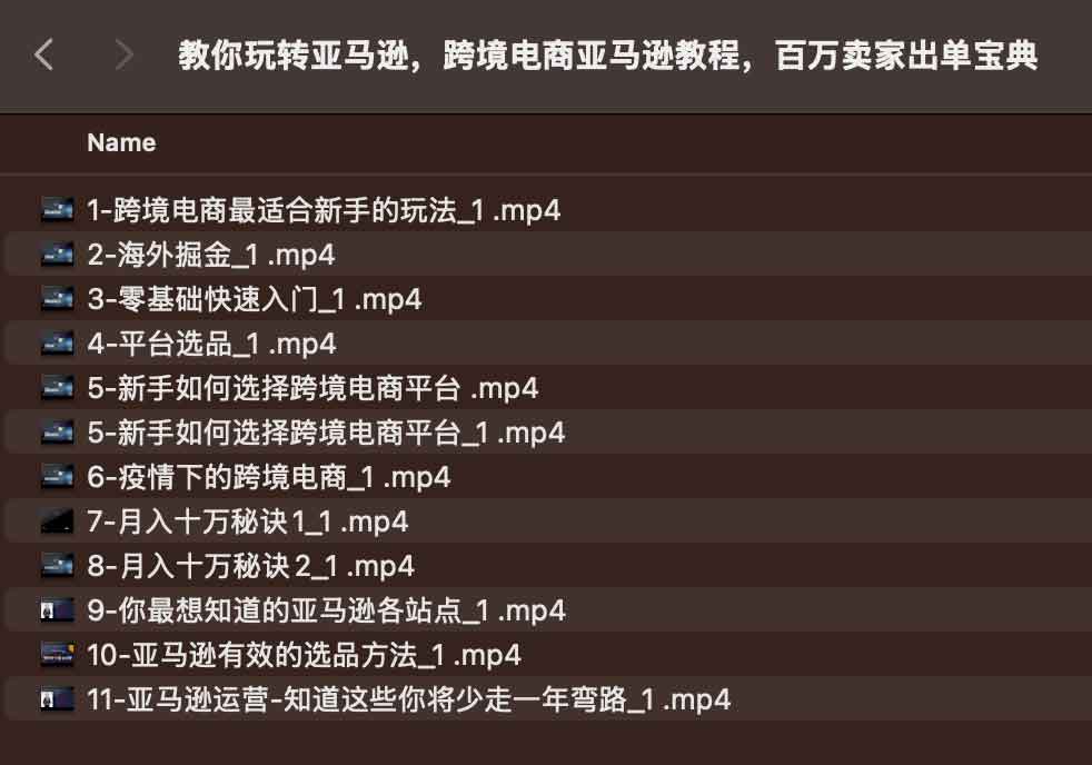 教你玩转亚马逊，跨境电商亚马逊教程，百万卖家出单宝典