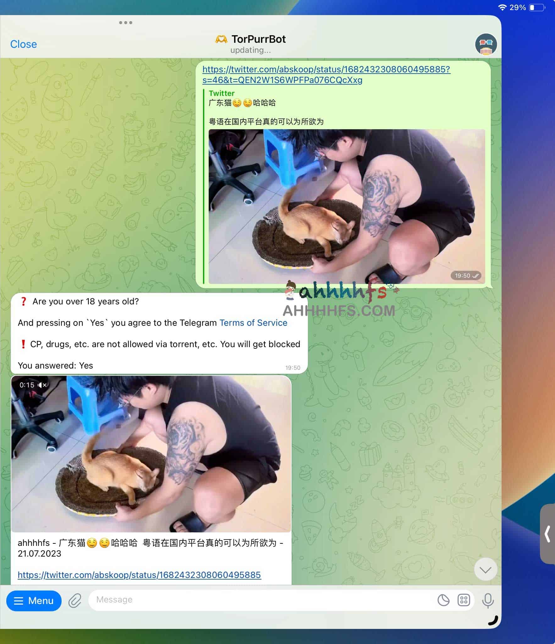 Telegram多功能视频下载机器人-TorPurrBot