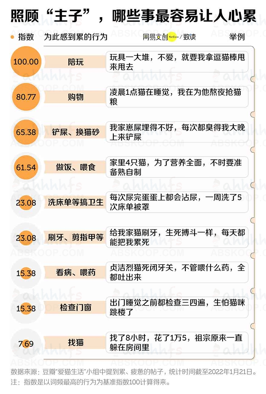 养猫劝退指南，每一条都扎心