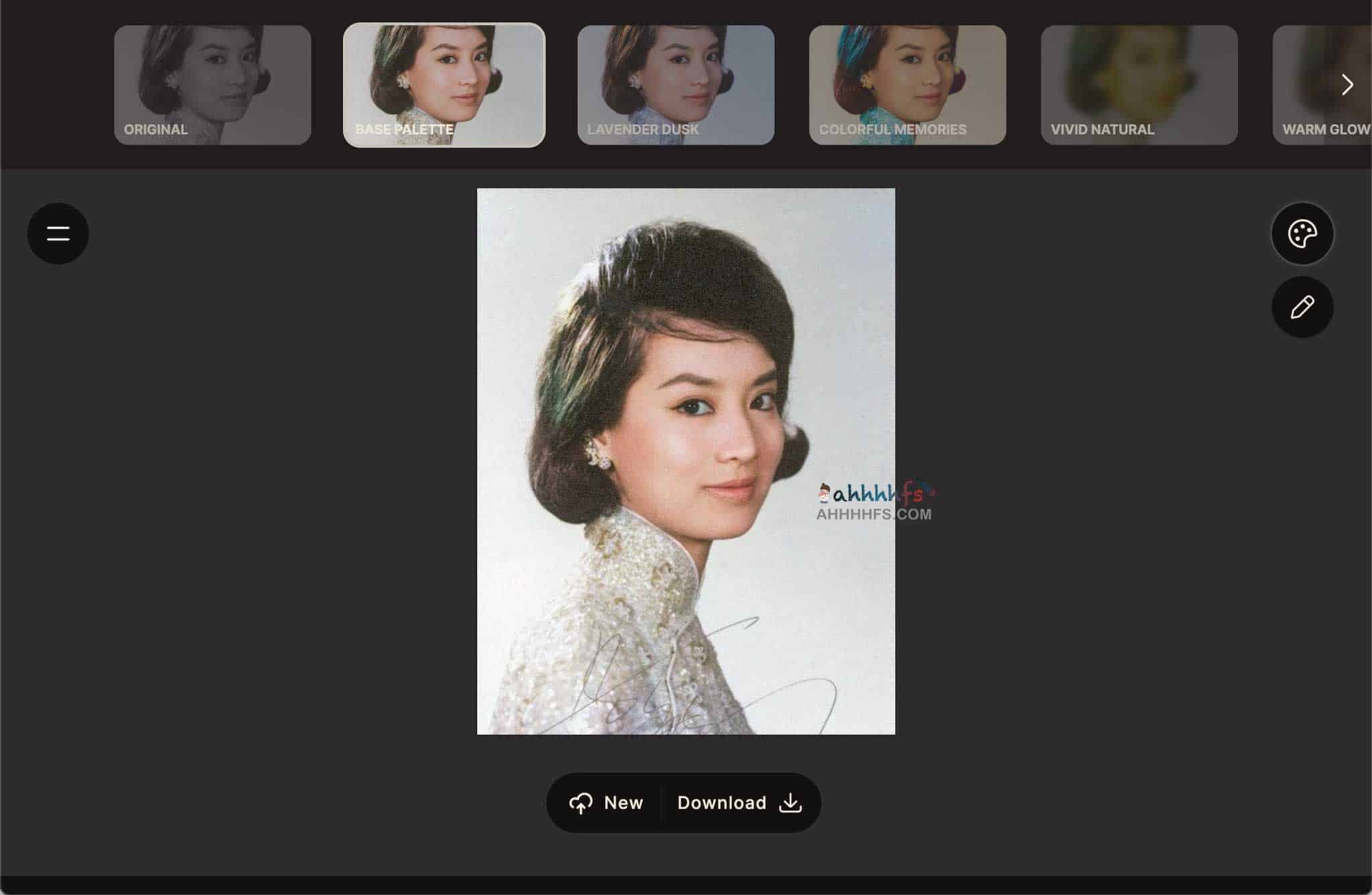 AI黑白照片上色工具 老照片修复- Palette