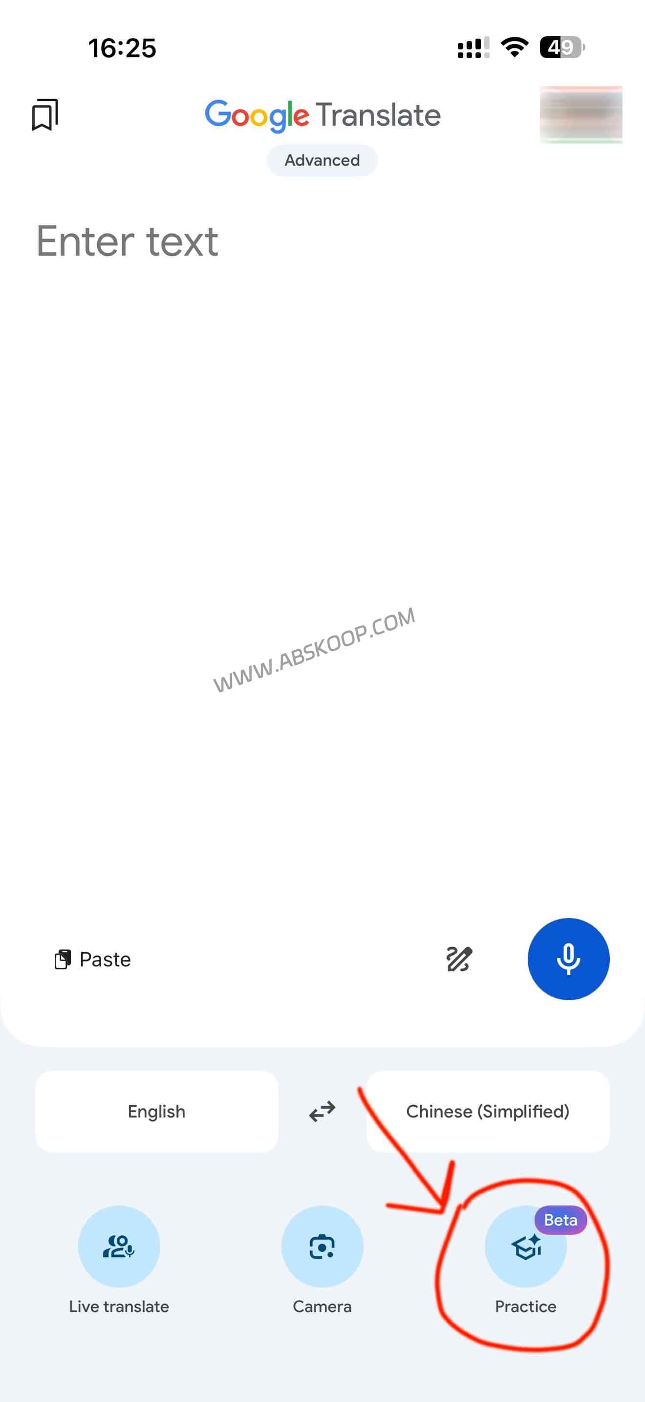 别买口语课了！Google Translate AI 新功能深度评测 (免费私教)
