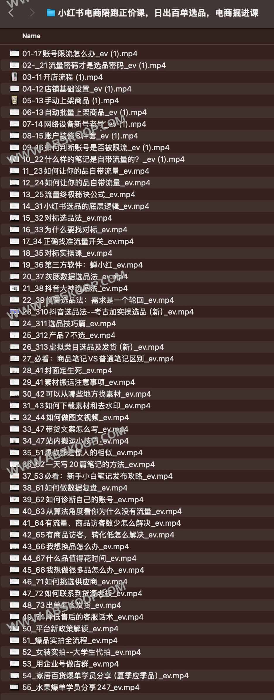 小红书电商陪跑正价课，日出百单选品，电商掘进课