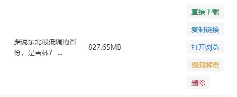 素材下载器，res-downloader软件截图插图7