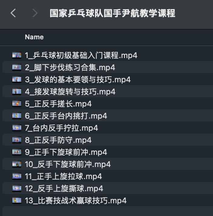 国家乒乓球队国手尹航教学课程