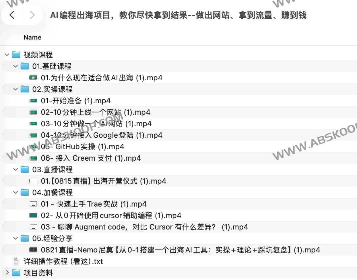 AI编程出海项目，教你尽快拿到结果--做出网站、拿到流量、賺到钱