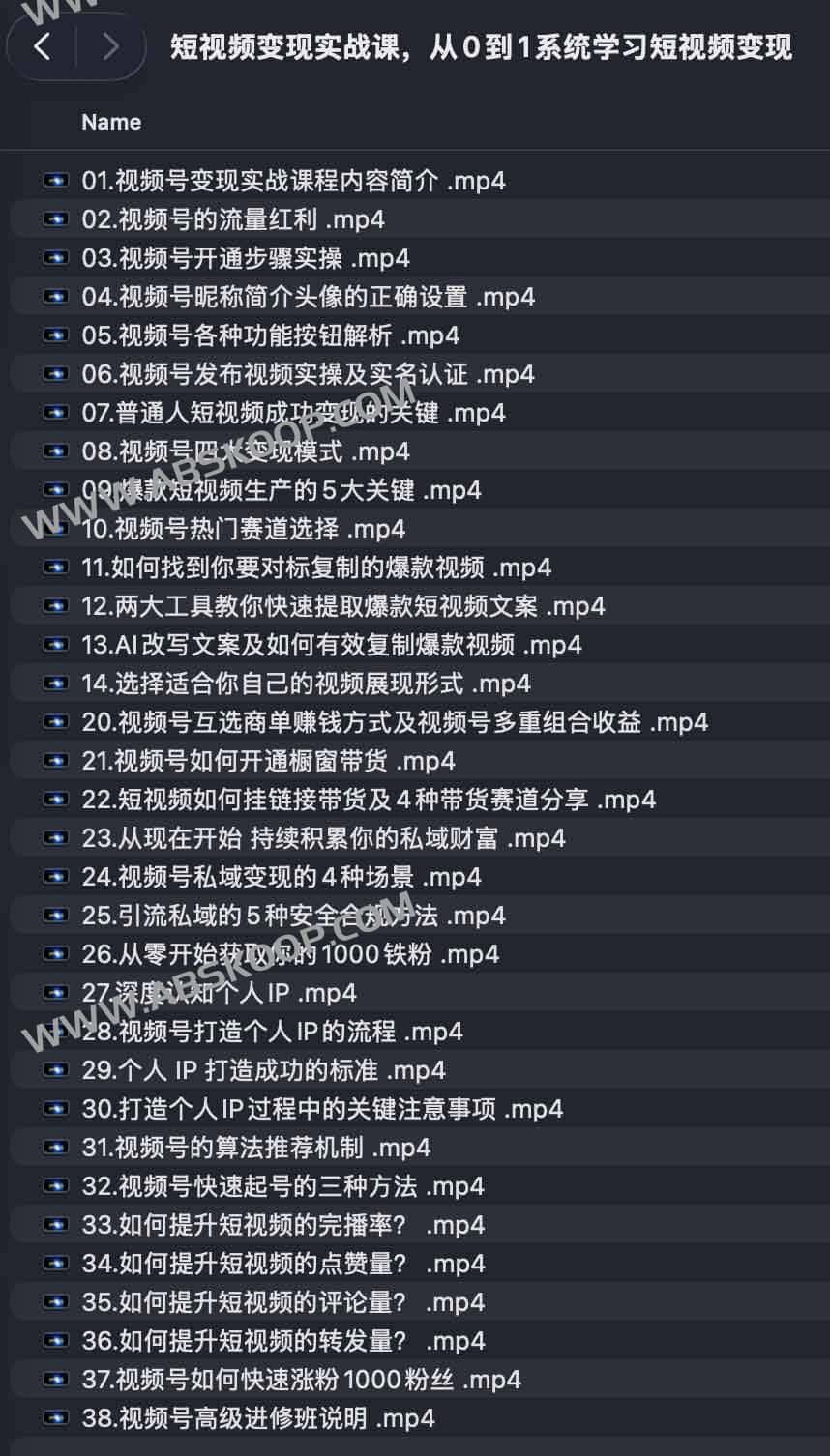 短视频变现实战课，从0到1系统学习短视频变现