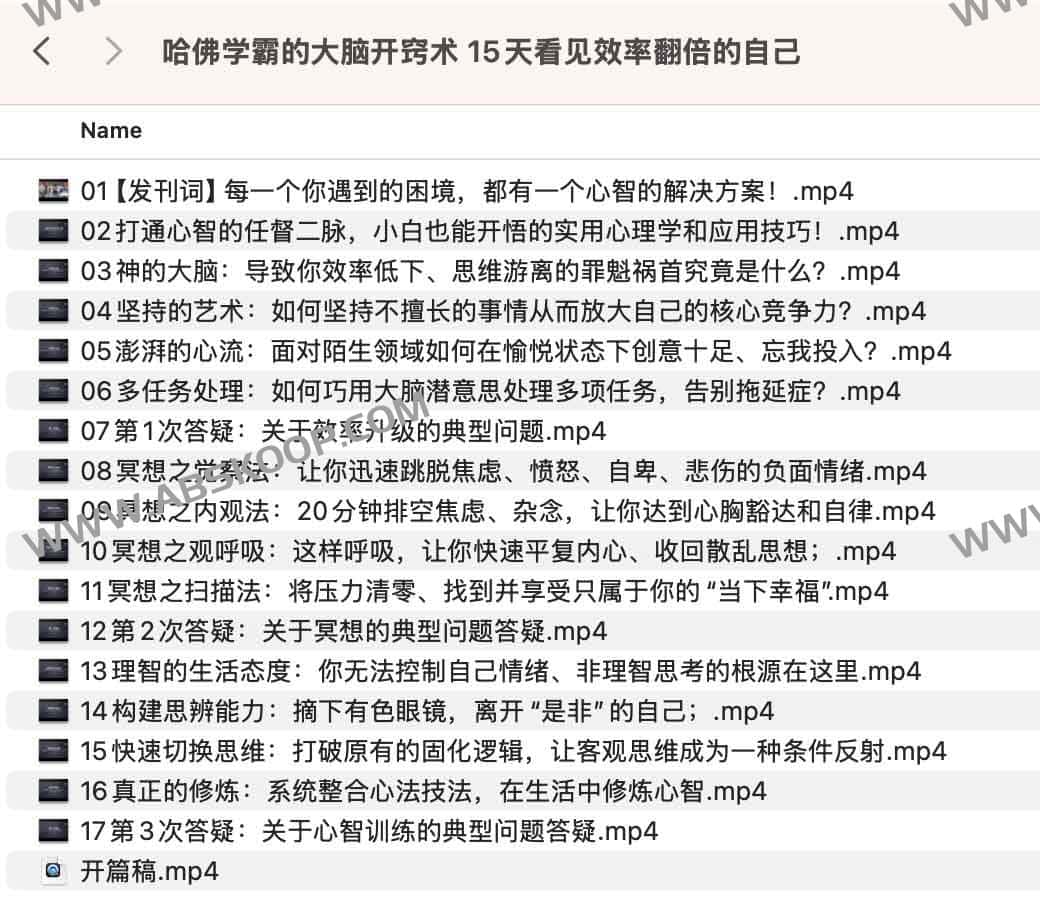 哈佛学霸的大脑开窍术 15天看见效率翻倍的自己