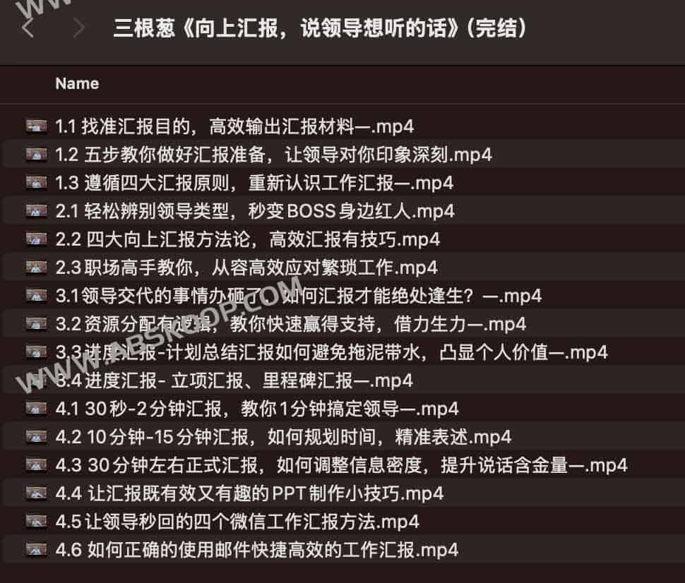 三颗葱老潘《向上汇报，说领导想听的话》（完结）