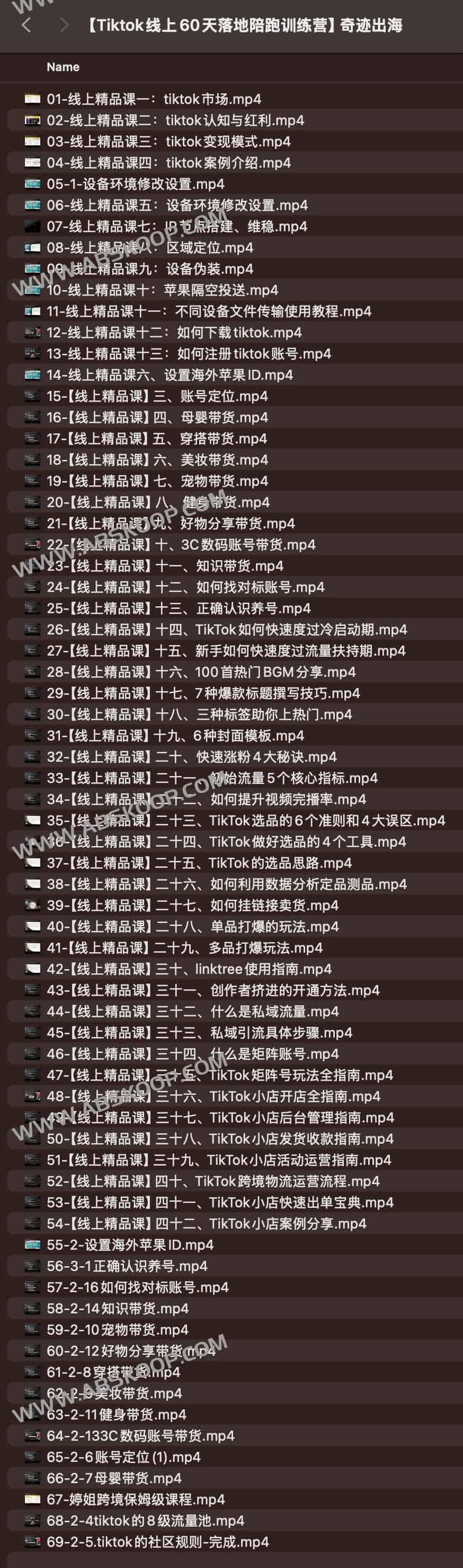 Tiktok线上60天落地陪跑训练营 奇迹出海