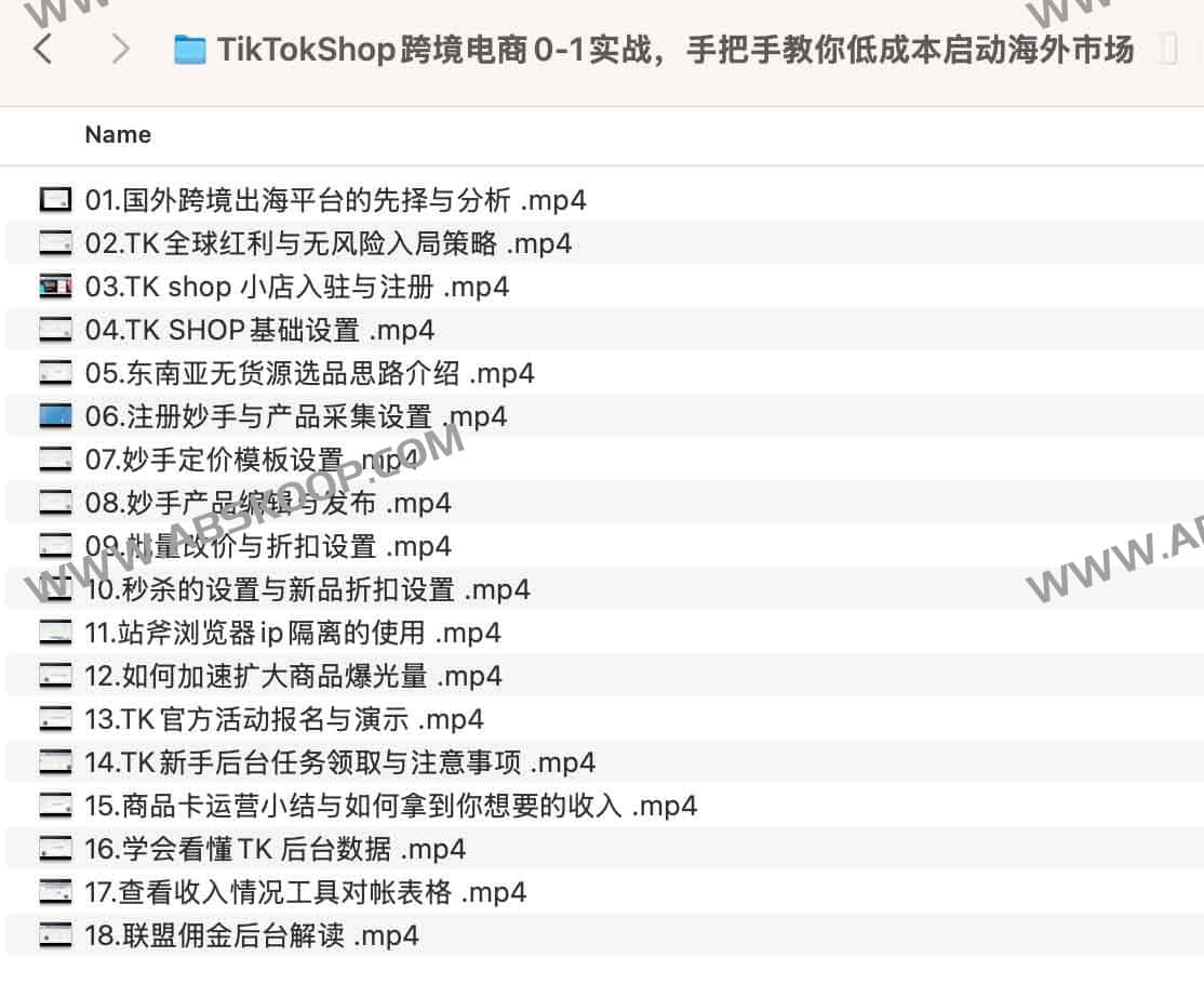 TikTokShop跨境电商0-1实战，手把手教你低成本启动海外市场