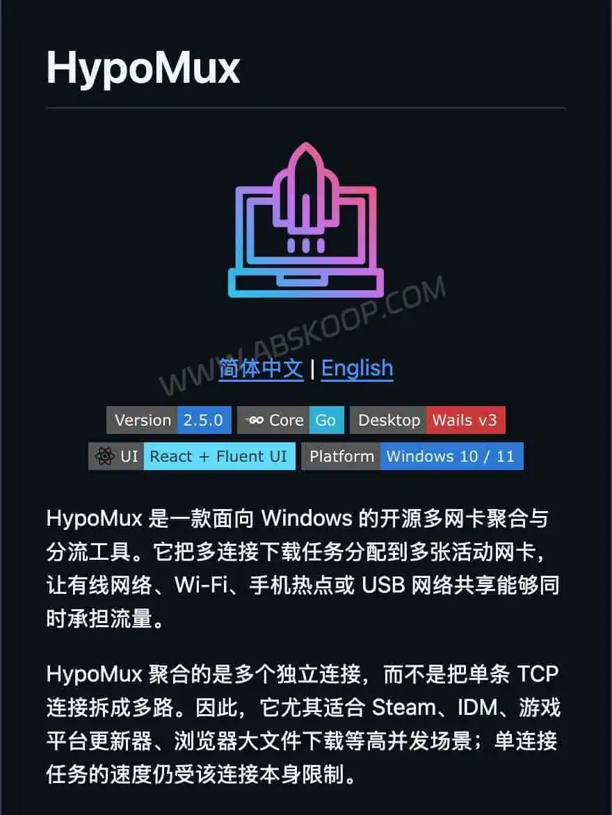 HypoMux:Windows 多网卡带宽叠加工具,利用 Wi-Fi 与网线提升多连接下载速度 HypoMux GitHub 项目主页,展示开源仓库信息与项目说明