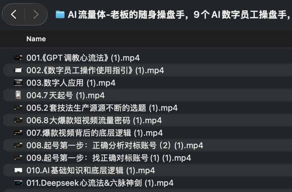 AI流量体-老板的随身操盘手