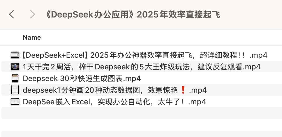 《DeepSeek办公应用》2025年效率直接起飞