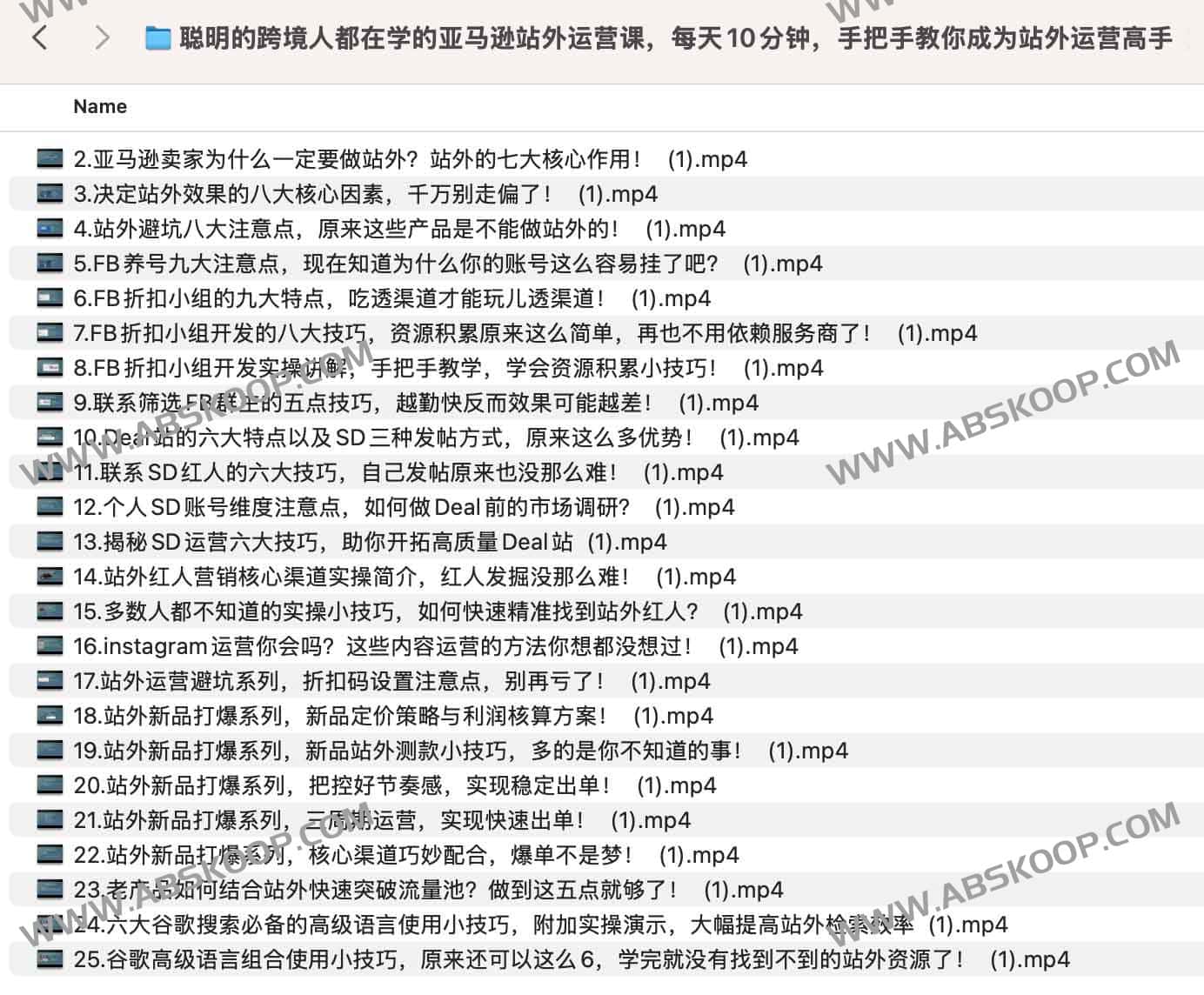 聪明的跨境人都在学的亚马逊站外运营课，每天10分钟，手把手教你成为站外运营高手