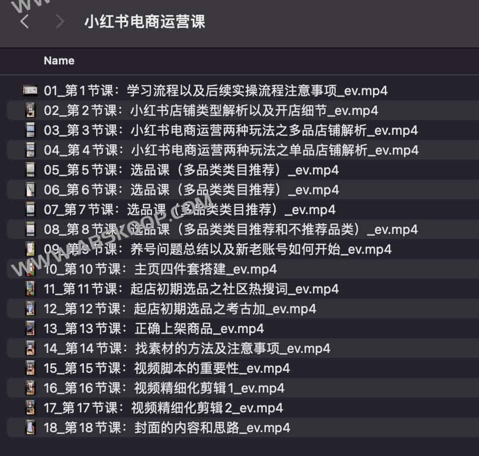 潮汕蔡总 小红书电商运营课