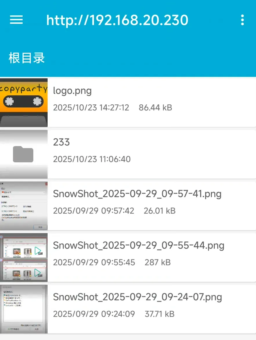 文件传输工具,Copyparty软件体验插图10 文件传输工具,Copyparty软件体验插图10
