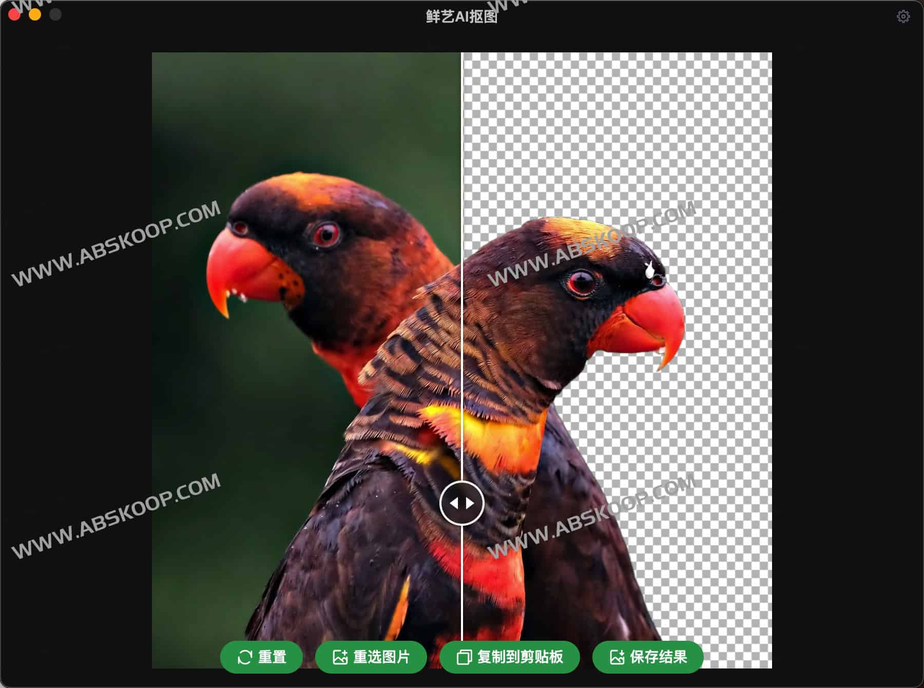 免费的AI抠图工具 毫秒级抠图 离线可用 -鲜艺AI抠图