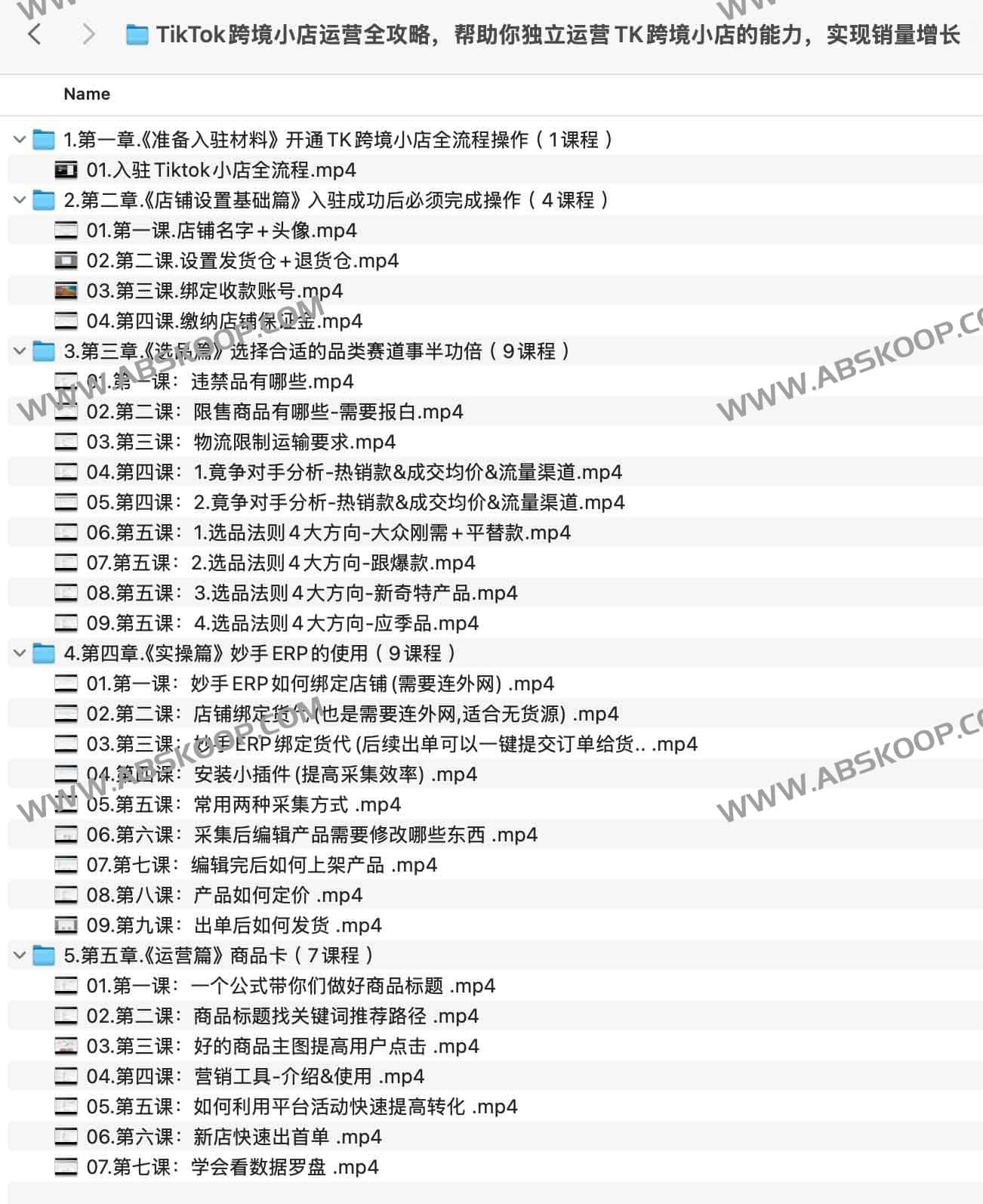 TikTok跨境小店运营全攻略，帮助你独立运营TK跨境小店的能力，实现销量增长