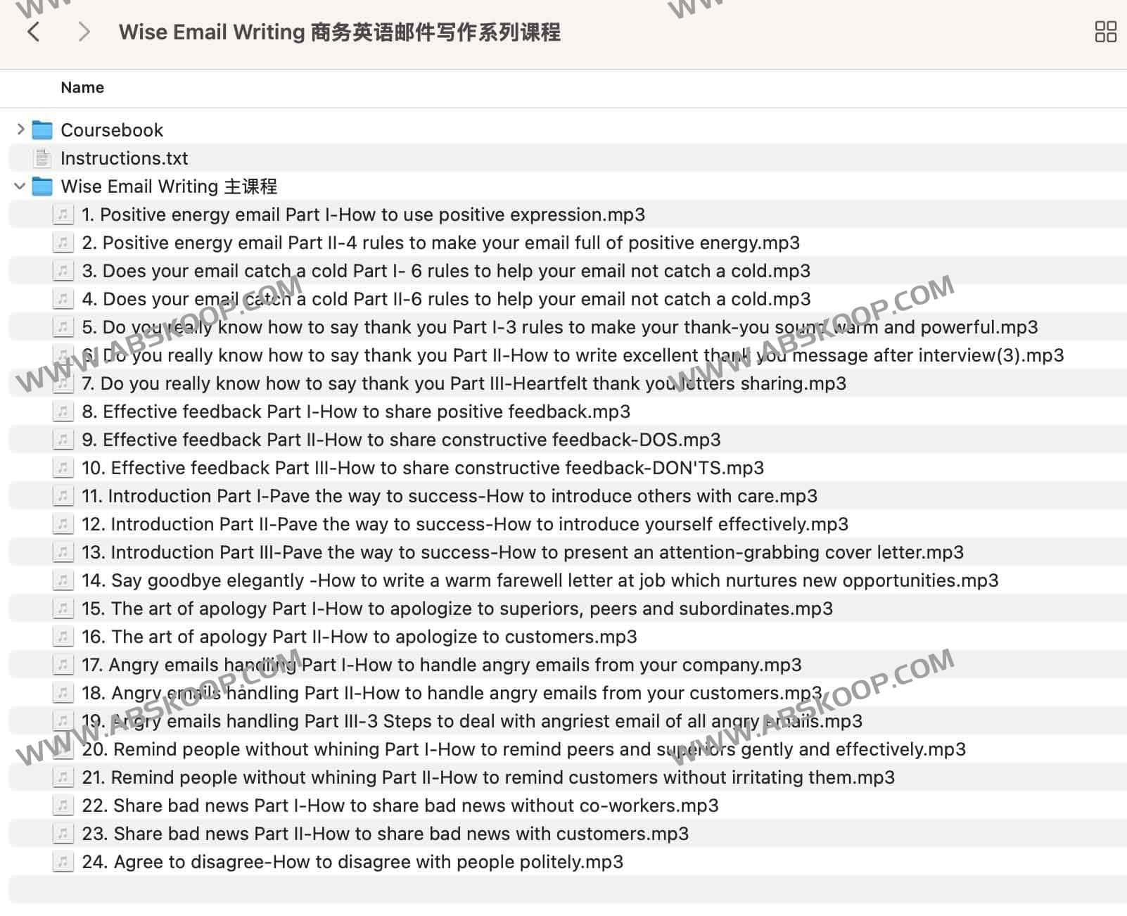 Wise Email Writing 商务英语邮件写作系列课程