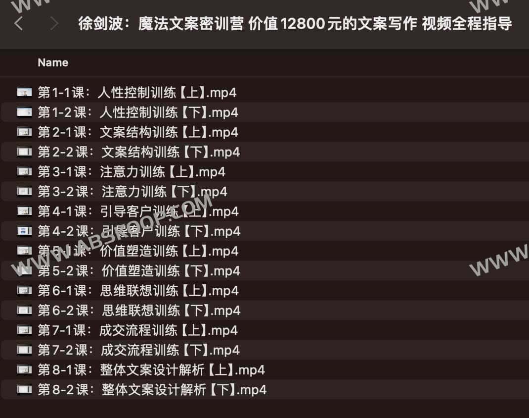 徐剑波：魔法文案密训营 价值12800元的文案写作 视频全程指导