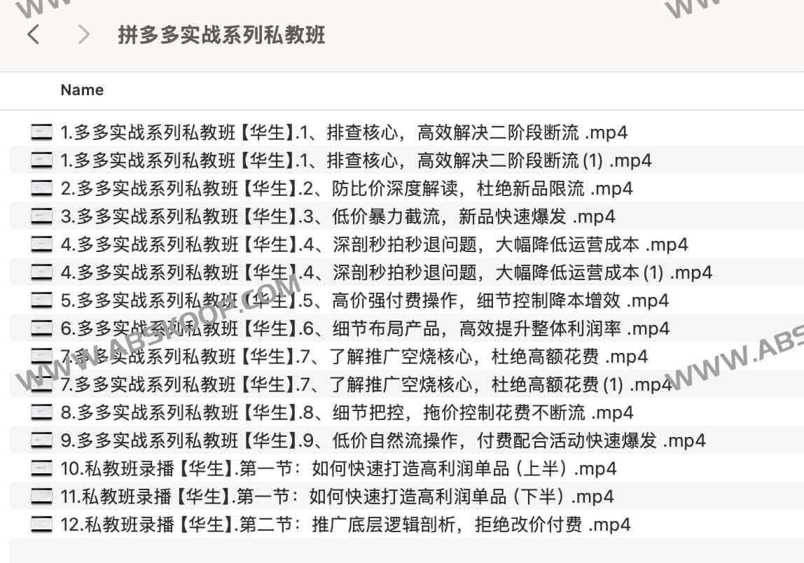 2025年拼多多实战系列私教班