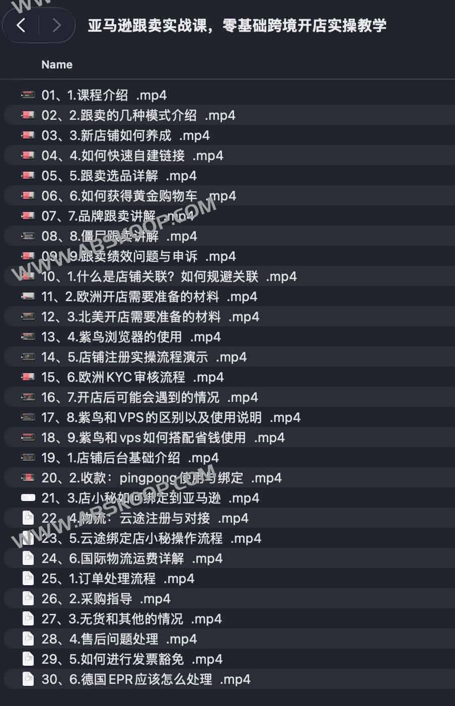 亚马逊跟卖实战课，零基础跨境开店实操教学