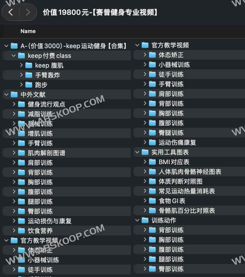 赛普健身专业视频 价值19800元
