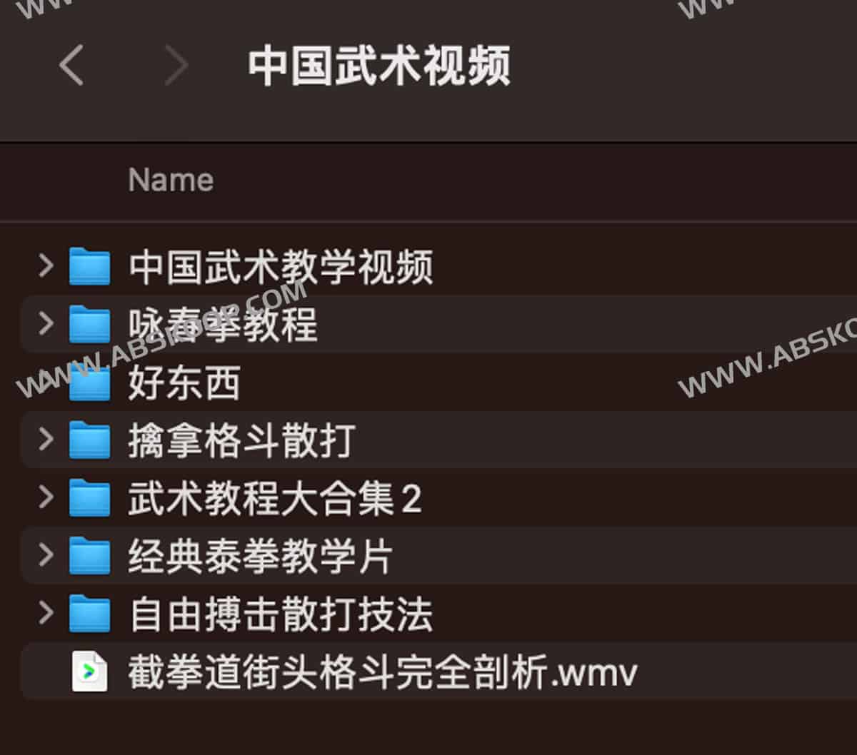 中国武术教学视频