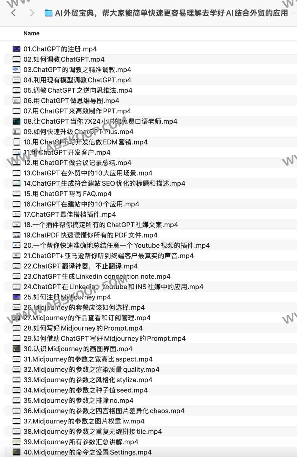 AI外贸宝典，帮大家能简单快速更容易理解去学好AI结合外贸的应用