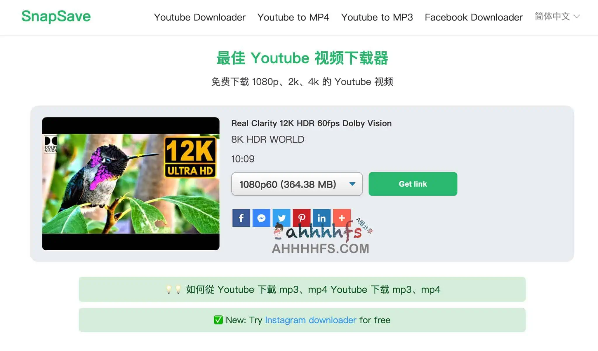 油管youtube视频下载器 - SnapSave