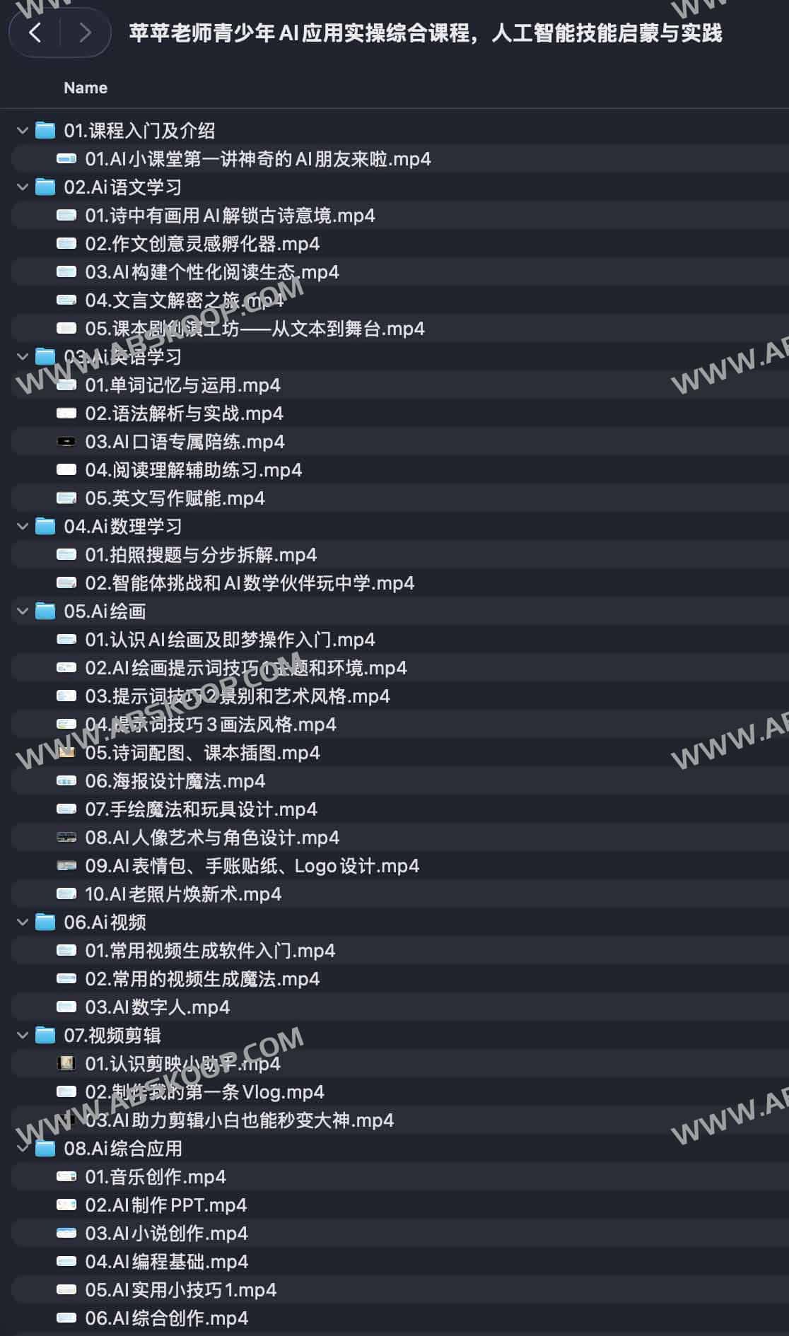 苹苹老师青少年AI应用实操综合课程，人工智能技能启蒙与实践