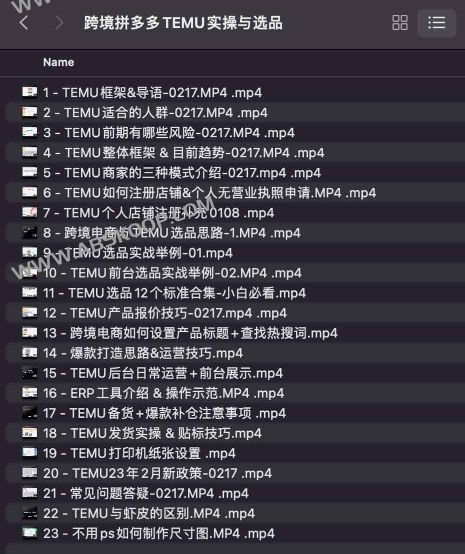 跨境拼多多TEMU实操与选品