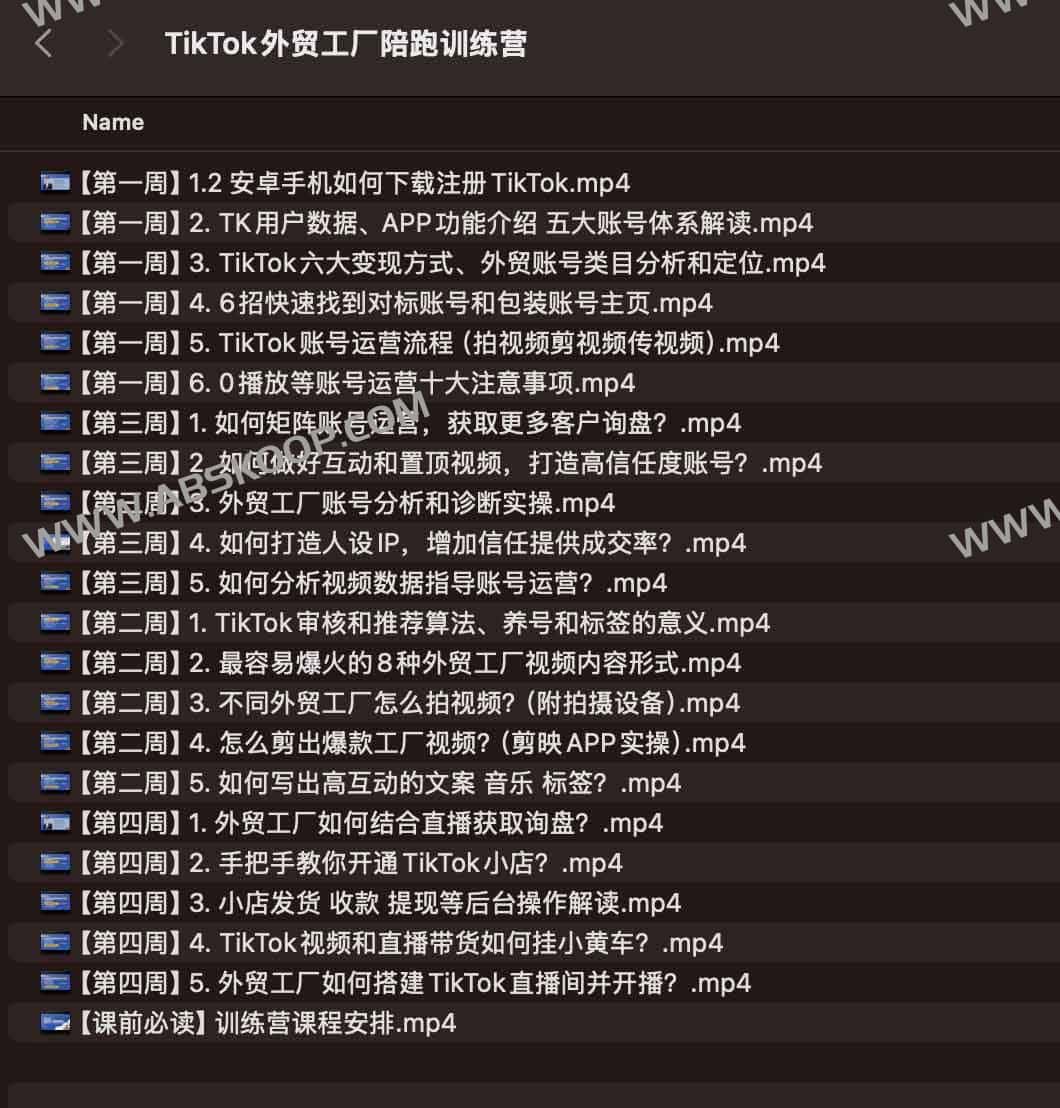 TikTok外贸工厂陪跑训练营