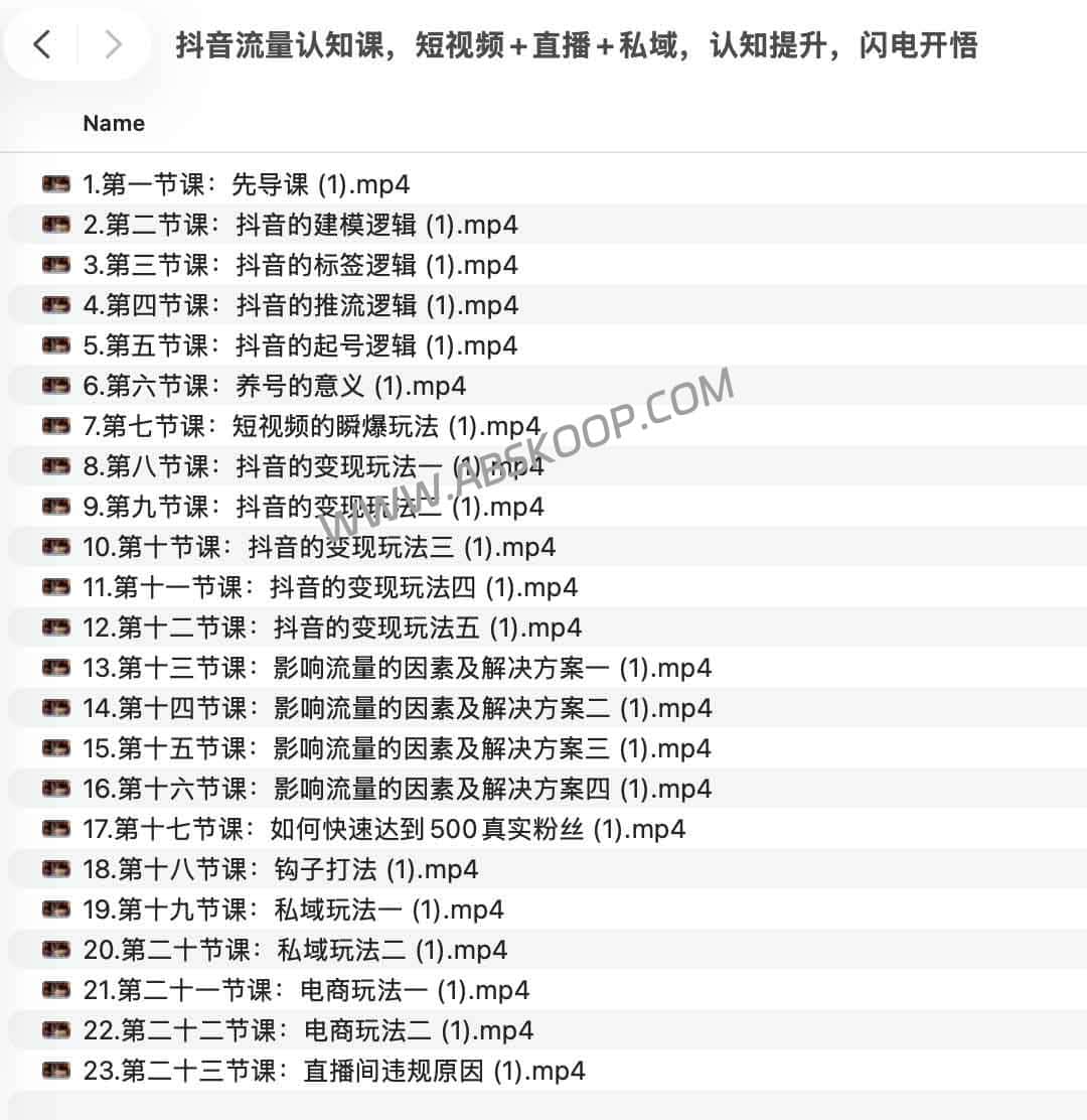 新版抖音流量认知系统课：短视频+直播+私域全链路突围（含算法建模解析）