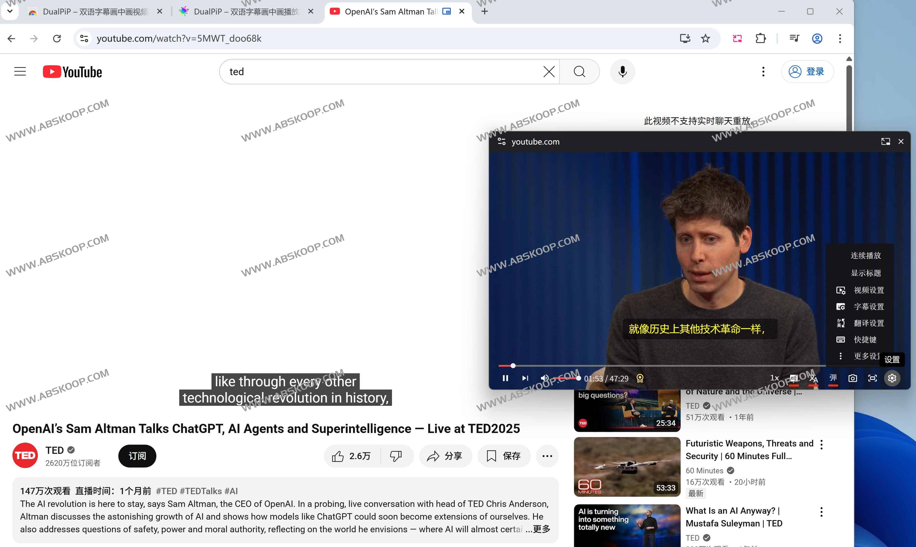 DualPiP - 双语字幕画中画播放器：高效语言学习与多任务娱乐新体验