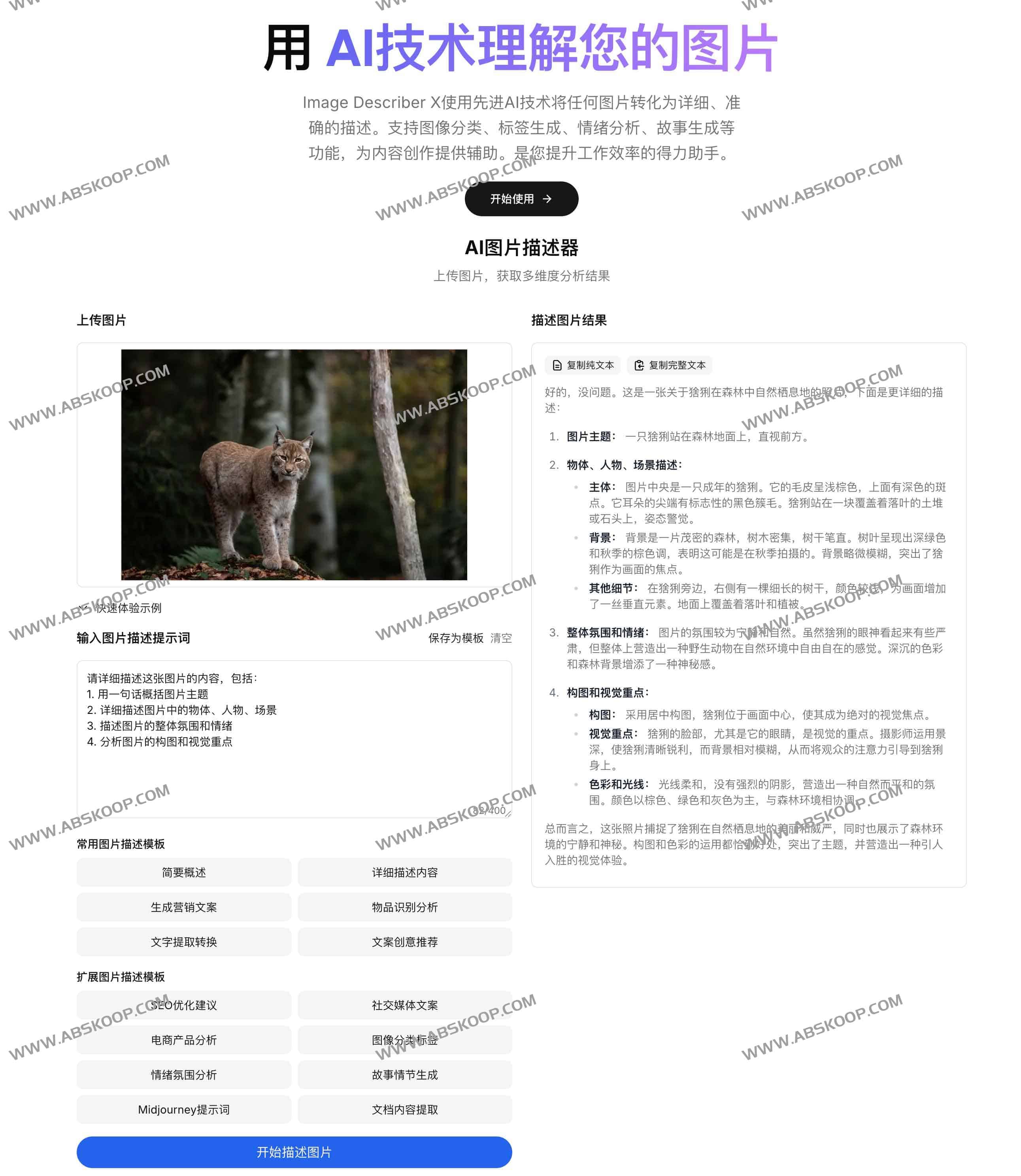 Image Describer X：免费AI图像描述神器 让每张图片“开口说话”