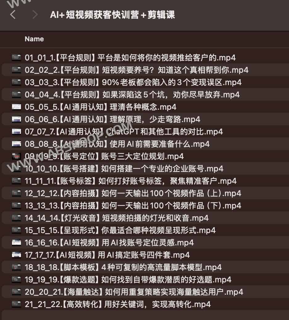 AI+短视频获客快训营+剪辑课
