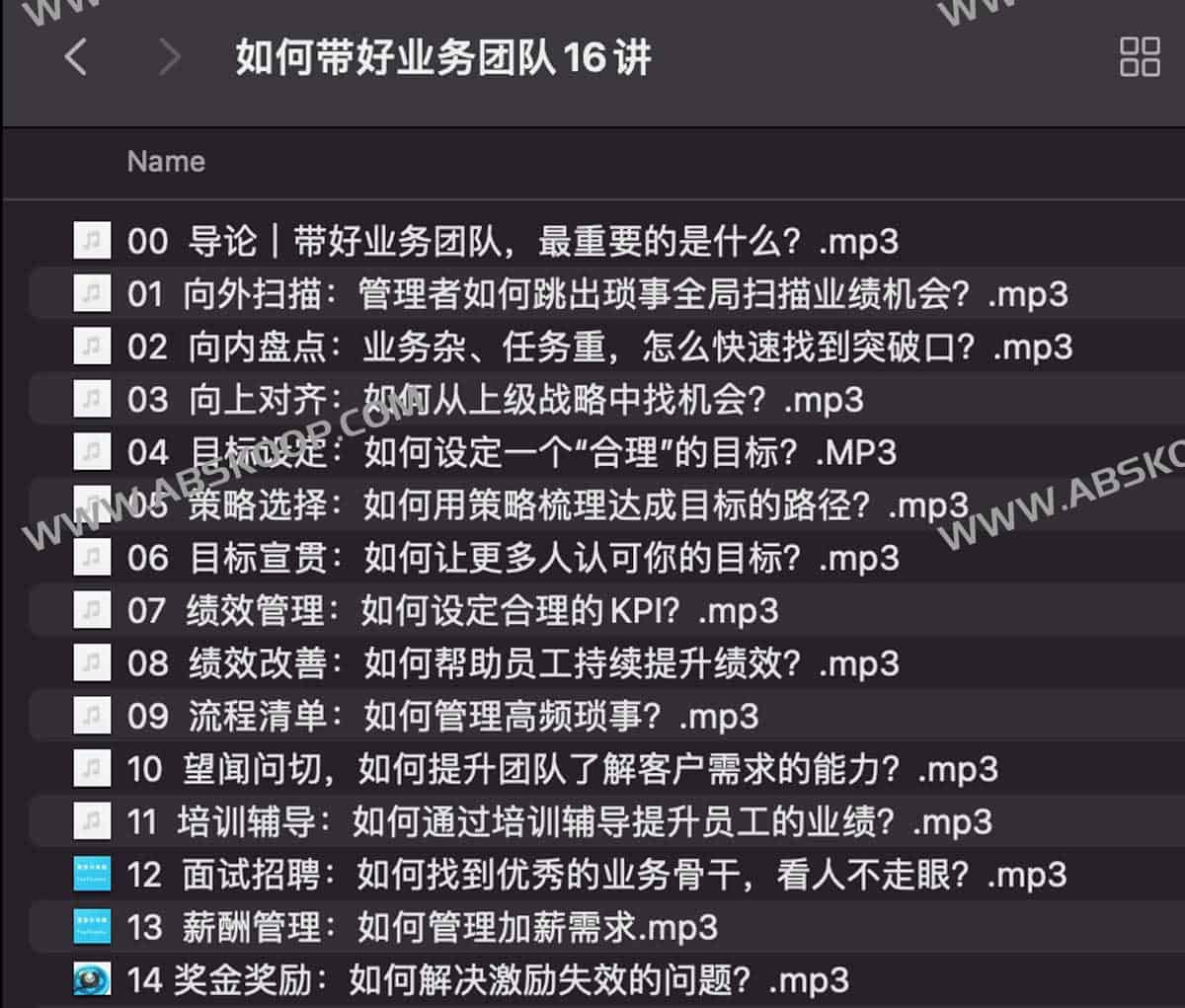 如何带好业务团队16讲