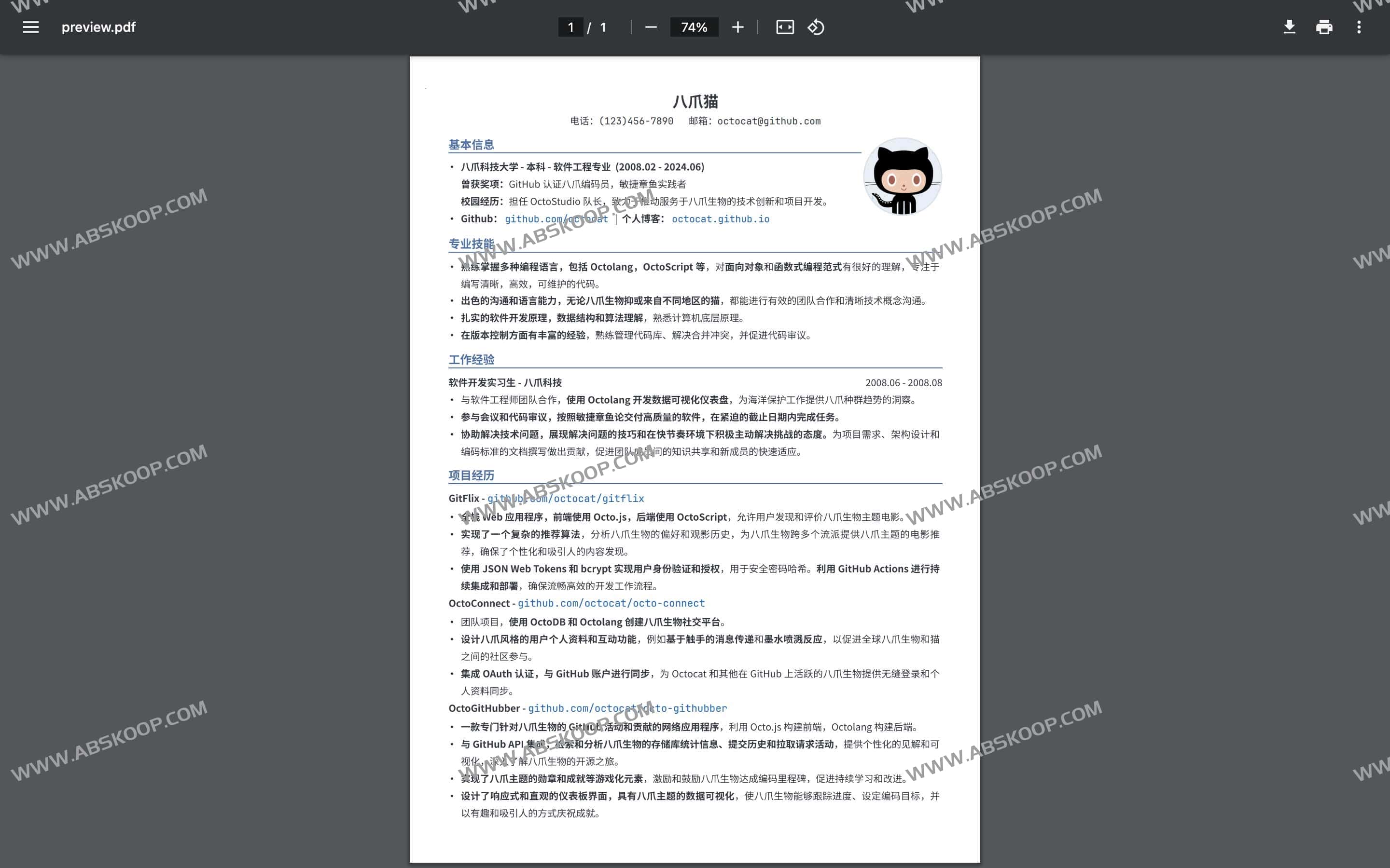 LapisCV-开箱即用简历模版 易于编辑 所见即所得