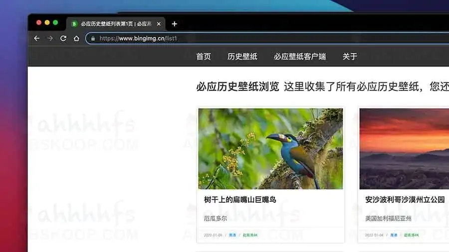 必应每日壁纸-历史壁纸浏览下载-4K