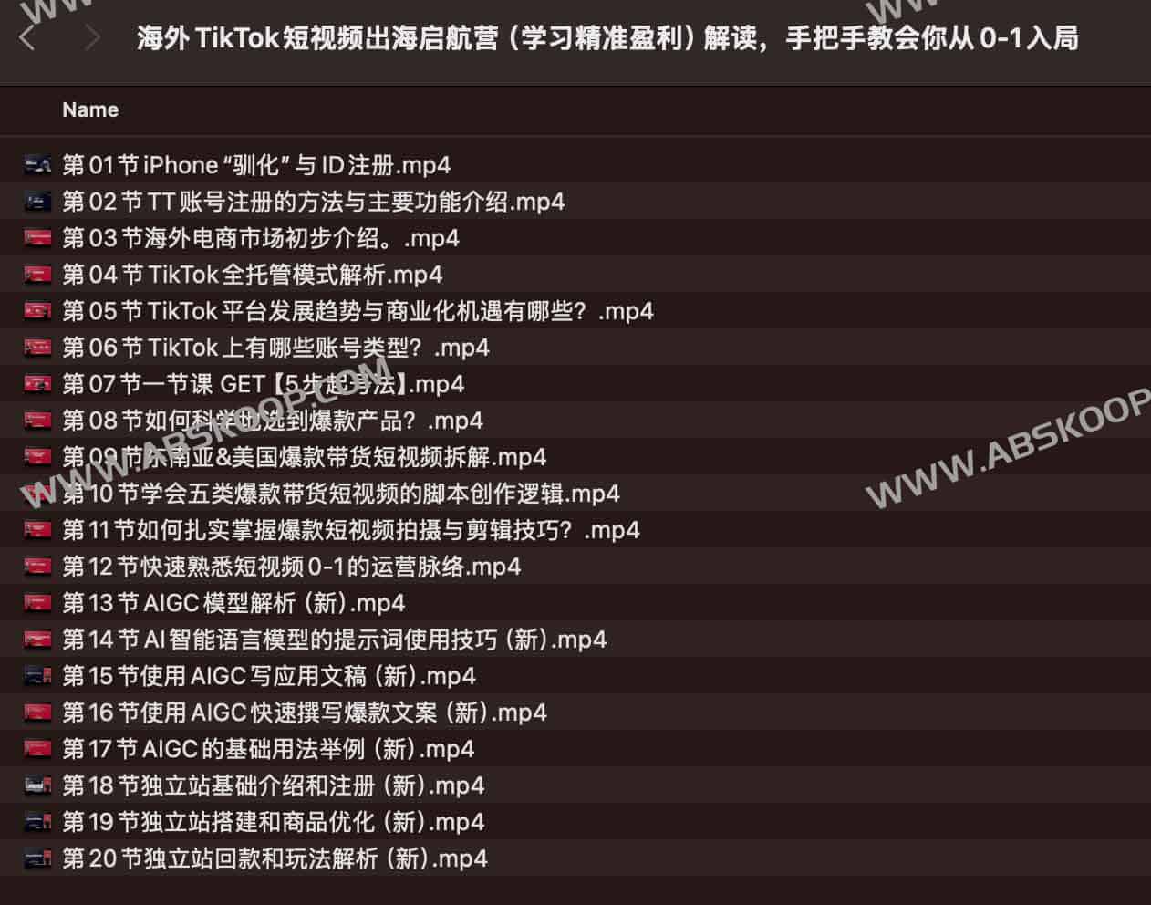 海外TikTok短视频出海启航营（学习精准盈利）解读，手把手教会你从0-1入局