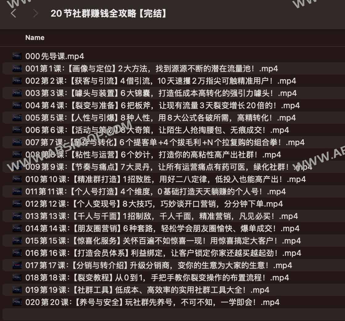 20节社群赚钱全攻略【完结】