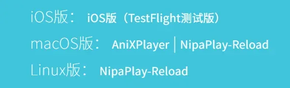 平台看番不得劲?NipaPlay来助力!插图8 平台看番不得劲?NipaPlay来助力!插图8