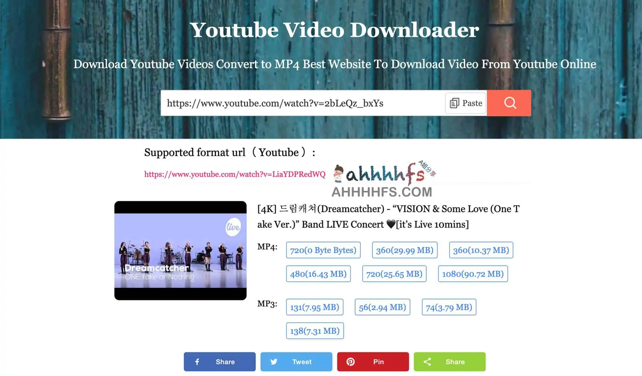 在线视频下载器-VideoFk